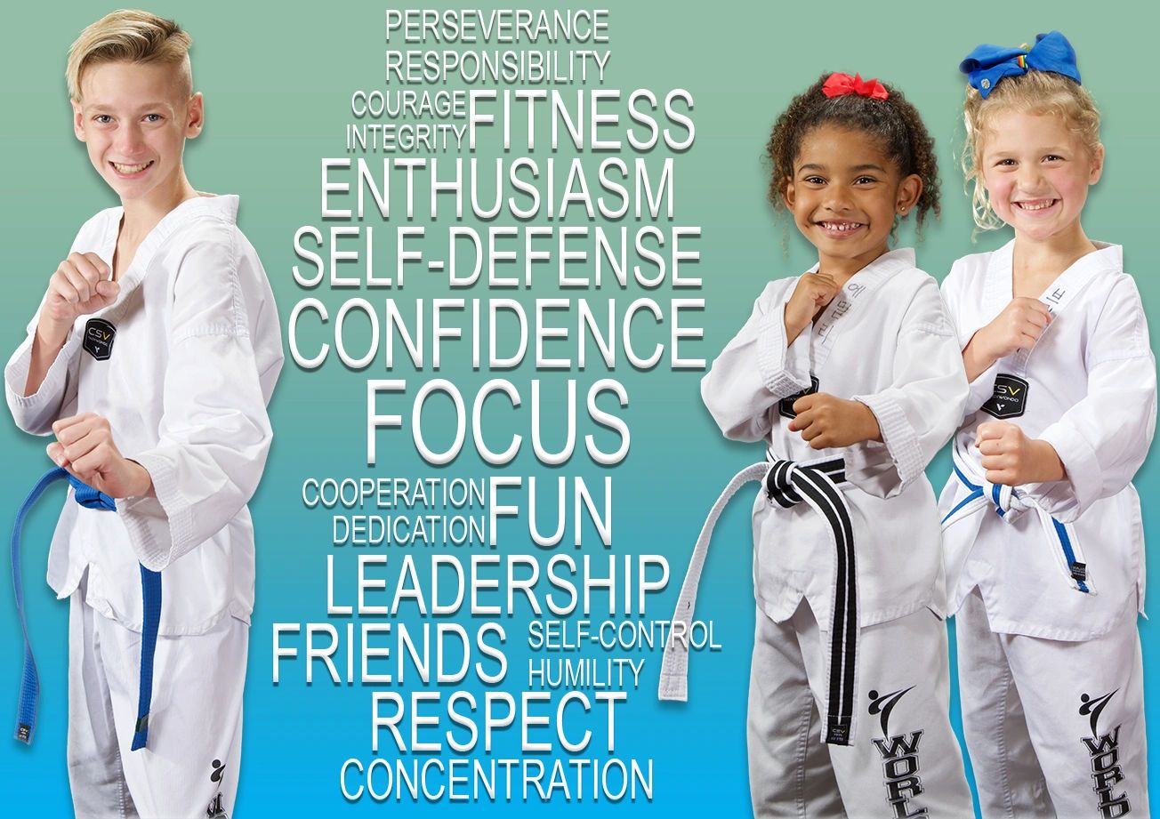 Master kim's world class taekwondo hot sale